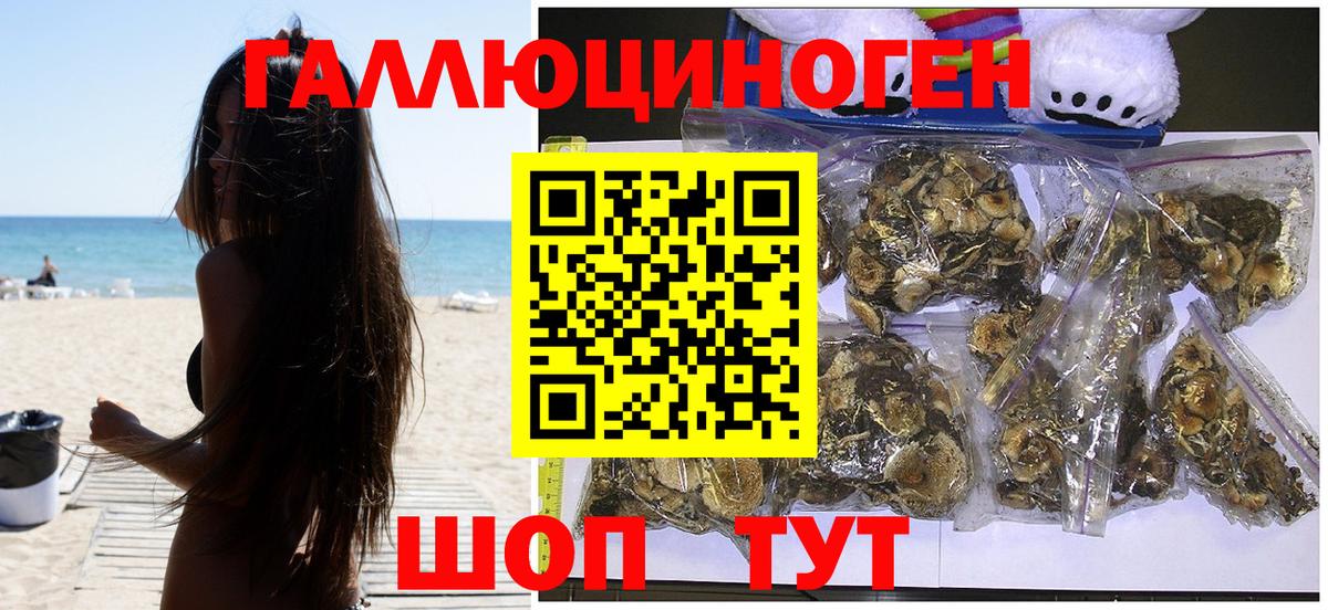 Псилоцибиновые грибы Psilocybine cubensis Кингисепп