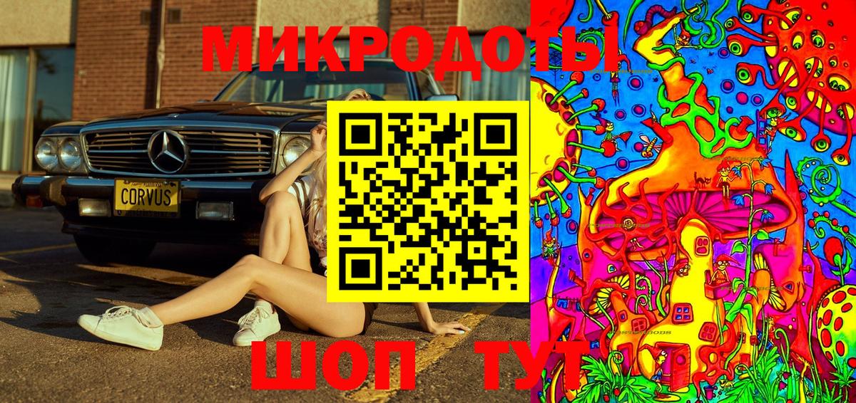 Псилоцибиновые грибы Psilocybine cubensis  Вход с VPN  как найти   Кингисепп 